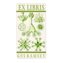 エルンストヘッケルスタウロメドサエ蔵書票