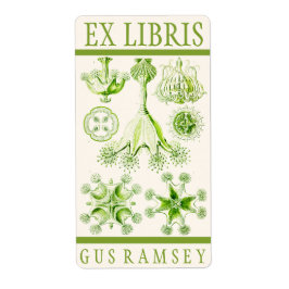 エルンストヘッケルスタウロメドサエ蔵書票 ラベル