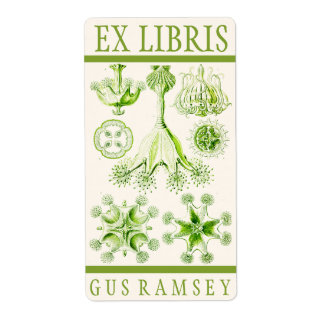 エルンストヘッケルスタウロメドサエ蔵書票 ラベル