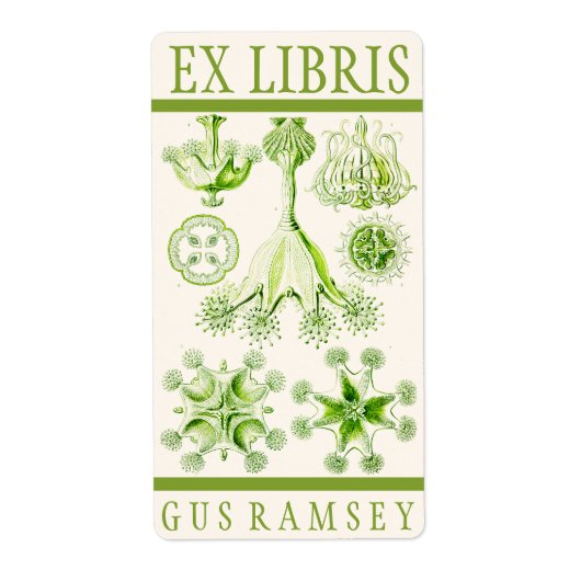 エルンストヘッケルスタウロメドサエ蔵書票 ラベル (正面)