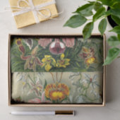 エルンストヘッケルズオーチャドセウス科ティッシュペーパー 薄葉紙 (ギフト)