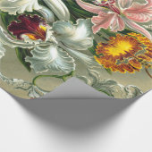 エルンストヘッケルズオーチャドセレーラッピング紙 ラッピングペーパー (コーナー)