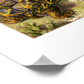 エルンストヘッケルチェロニア ポスター (角)