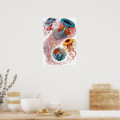 エルンストヘッケルディスコメダセクラゲ ポスター (キッチン)