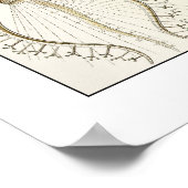 エルンストヘッケルパエオダリア ポスター (角)