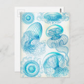エルンストヘッケルプラットクラゲ ポストカード (正面/裏面)