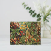 エルンストヘッケルヴィンテージボタニカルアート ポストカード (スタンド正面)