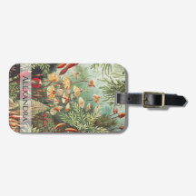 エルンストヘッケルヴィンテージレトロキノコ