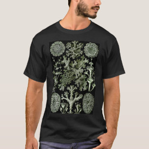 エルンストヘッケルヴィンテージ生物学的イラストレーションリッチ Tシャツ
