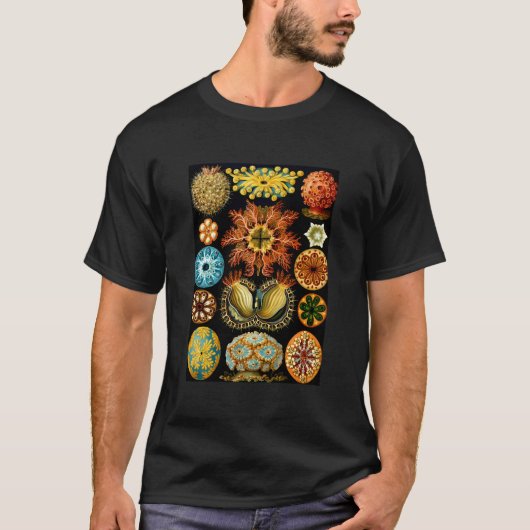 エルンストヘッケルヴィンテージ生物学的イラストレーションAsci Tシャツ (正面)