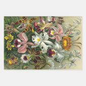 エルンストヘッケル自然ラッピング紙シート ラッピングペーパーシート (正面3)