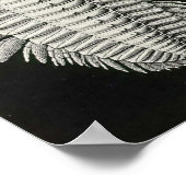 エルンストヘッケル – アスピドニア ポスター (角)