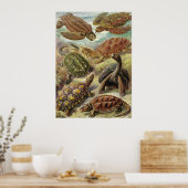 エルンストヘッケル – チェロニア ポスター (キッチン)