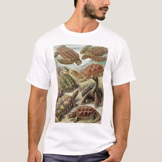 エルンストヘッケル – チェロニア Tシャツ (正面)