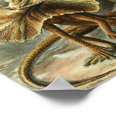 エルンストヘッケル – ラケルティリア ポスター (角)