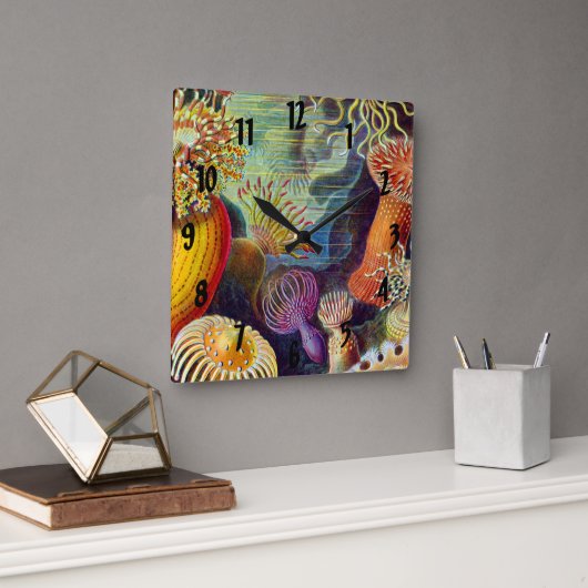 エルンスト・ハエッケル海アネモネス海:Actiniae スクエア壁時計 (オフィス)
