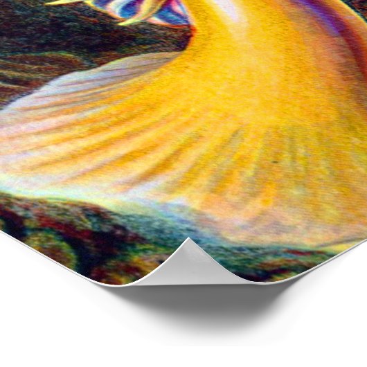 エルンスト・ハエッケル海アネモネス海:Actiniae ポスター (角)