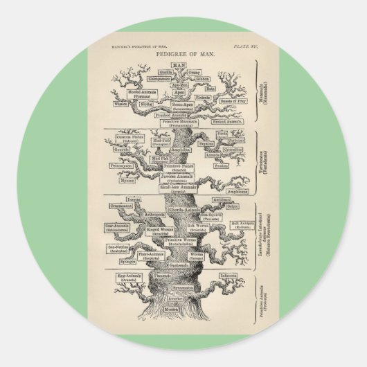 エルンスト・ヘイケルの「生命の木」 ラウンドシール (正面)