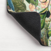 エルンスト・ヘイケルアートプリント:トロッチリア科 マウスパッド (コーナー)