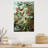 エルンスト・ヘイケルズ・ハミングバード ポスター (キッチン)