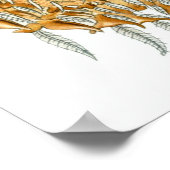 エルンスト・ヘイケルポスター~アラチニダ ポスター (角)