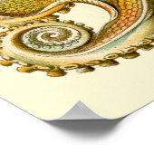 エルンスト・ヘイケルポスター~タフェル ポスター (角)