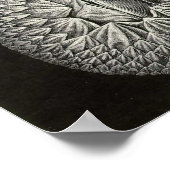 エルンスト・ヘイケル – サーリペディア ポスター (角)