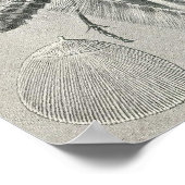 エルンスト・ヘイケル – ティニーダ ポスター (角)