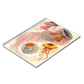 エルンスト・ヘイケル「ディスメドゥサエ – Desmonema」 ノートブック (左側)