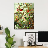 エルンスト・ヘイケル – ハチドリ科ハチドリ ポスター (ホームオフィス)