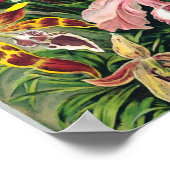 エルンスト・ヘイケル – 蘭 ポスター (角)