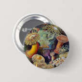 エルンスト・ヘイケル – Actiniae 缶バッジ (正面&裏面)