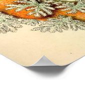 エルンスト・ヘイケル – Nudibranchia ポスター (角)