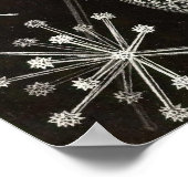 エルンスト・ヘイケル – Phaeodaria2 ポスター (角)