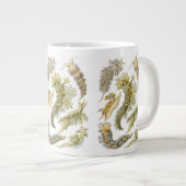 エルンスト・ヘッケルによるウミウシ、ビンテージのヌディブランキア ジャンボコーヒーマグカップ (正面右)