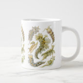 エルンスト・ヘッケルによるウミウシ、ビンテージのヌディブランキア ジャンボコーヒーマグカップ (右)