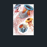 エルンスト・ヘッケルによるクラゲの古いイラスト、Discomedusae キャンバスプリント<br><div class="desc">エルンスト・ヘッケルによる海の生物学のヴィンテージイラスト。海水中を泳ぐ様々な色のクラゲの動物たち。クラゲは、傘のような形の体と長い触手を引っ張っている自由に泳ぐ水生動物です。彼らはすべての海に存在し、一部は淡水湖や川にも存在します。</div>