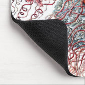 エルンスト・ヘッケルによるクラゲの古いイラスト、Discomedusae マウスパッド (コーナー)