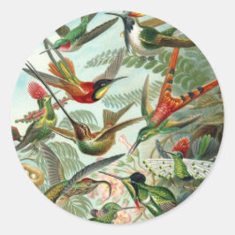 エルンスト・ヘッケルによるコリブリのイラスト、ビンテージの鳥と木々 ラウンドシール