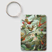 エルンスト・ヘッケルによるコリブリのイラスト、ヴィンテージの鳥と木 キーホルダー (正面)