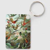 エルンスト・ヘッケルによるコリブリのイラスト、ヴィンテージの鳥と木 キーホルダー (裏面)