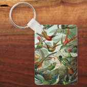 エルンスト・ヘッケルによるコリブリのイラスト、ヴィンテージの鳥と木 キーホルダー (正面)