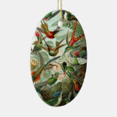 エルンスト・ヘッケルによるコリブリのイラスト、ヴィンテージの鳥と木 セラミックオーナメント (右)