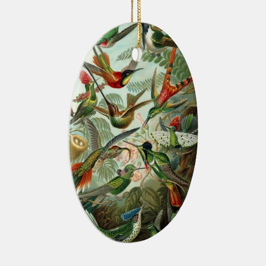 エルンスト・ヘッケルによるコリブリのイラスト、ヴィンテージの鳥と木 セラミックオーナメント (右)
