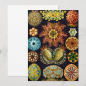 エルンスト・ヘッケルによるホヤの図鑑、ヴィンテージの海洋動物 招待状 (正面/裏面)