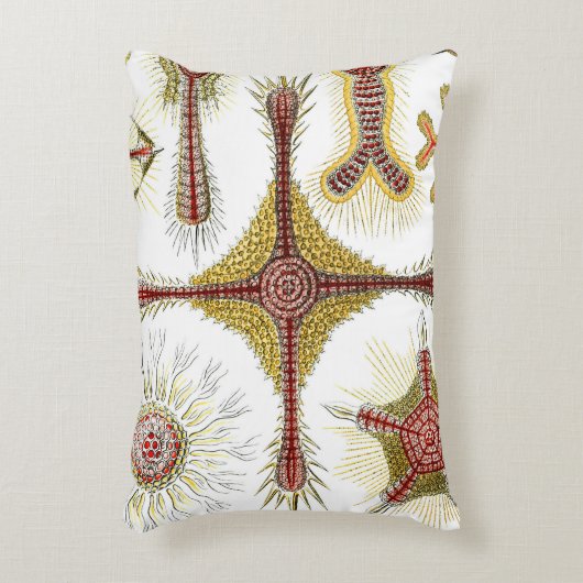 エルンスト・ヘッケルによるワイルドカモミール、ヴィンテージ ネイチャー アクセントクッション (正面(垂直))