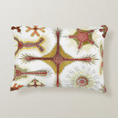 エルンスト・ヘッケルによるワイルドカモミール、ヴィンテージ ネイチャー アクセントクッション (裏面)