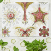 エルンスト・ヘッケルによるワイルドカモミール、ヴィンテージ ネイチャー キッチンタオル (折り畳み)