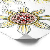 エルンスト・ヘッケルによるワイルドカモミール、ヴィンテージ ネイチャー ポスター (角)