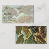 エルンスト・ヘッケルによるヴィンテージのカメとウミガメ 名刺 (正面/裏面)